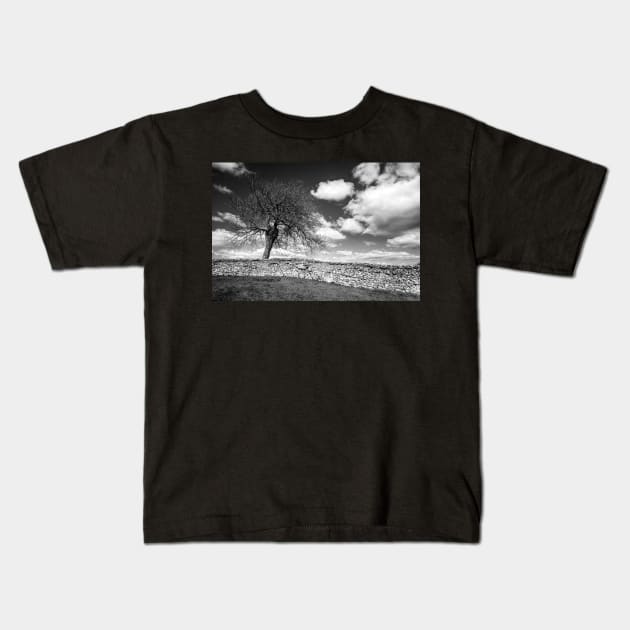 One Tree Wonder Black And White Kids T-Shirt by tommysphotos